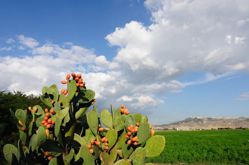 L'Orto Di Lucania مونتيسكاليوزو الغرفة الصورة